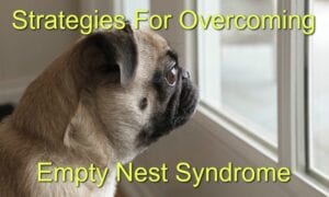 overcoming empty nest