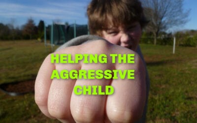 Helping the Aggressive Child